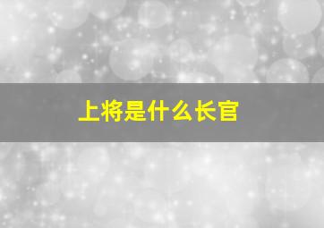 上将是什么长官