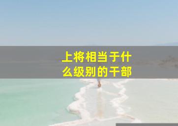 上将相当于什么级别的干部