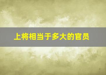 上将相当于多大的官员