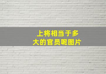 上将相当于多大的官员呢图片