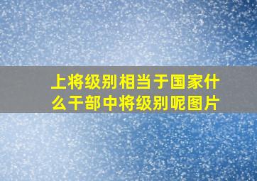 上将级别相当于国家什么干部中将级别呢图片