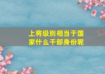 上将级别相当于国家什么干部身份呢