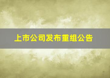 上市公司发布重组公告