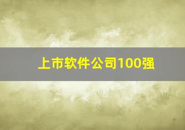 上市软件公司100强