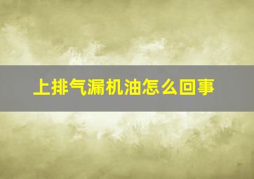 上排气漏机油怎么回事