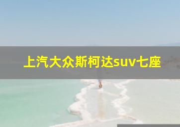 上汽大众斯柯达suv七座