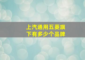 上汽通用五菱旗下有多少个品牌