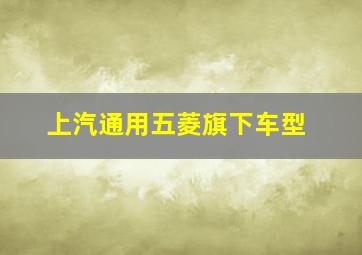 上汽通用五菱旗下车型