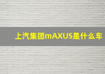 上汽集团mAXUS是什么车