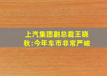 上汽集团副总裁王晓秋:今年车市非常严峻