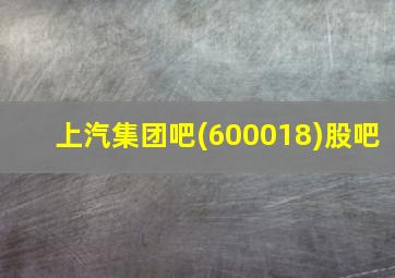 上汽集团吧(600018)股吧