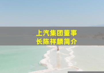 上汽集团董事长陈祥麟简介