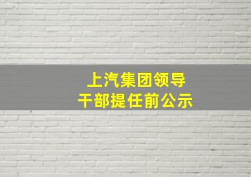 上汽集团领导干部提任前公示