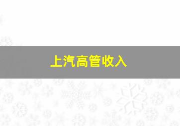 上汽高管收入