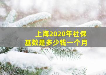 上海2020年社保基数是多少钱一个月