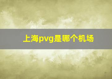 上海pvg是哪个机场