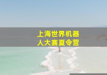 上海世界机器人大赛夏令营