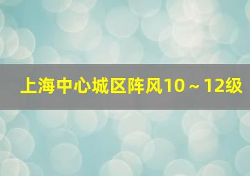 上海中心城区阵风10～12级