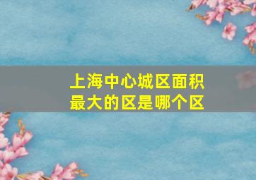 上海中心城区面积最大的区是哪个区