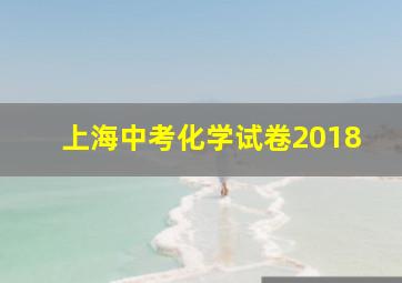 上海中考化学试卷2018