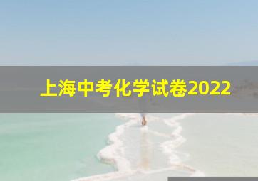 上海中考化学试卷2022