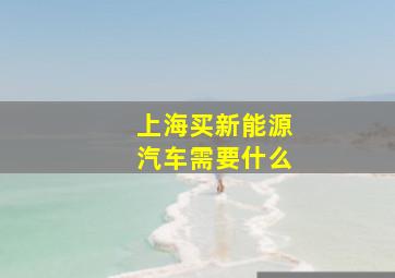 上海买新能源汽车需要什么