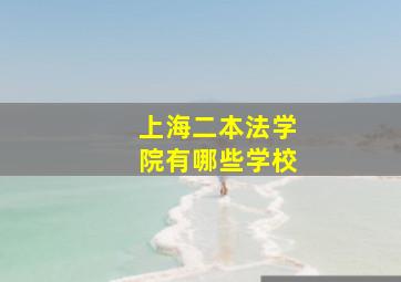 上海二本法学院有哪些学校