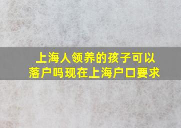 上海人领养的孩子可以落户吗现在上海户口要求