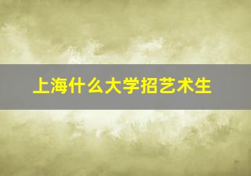 上海什么大学招艺术生