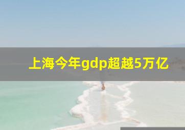 上海今年gdp超越5万亿