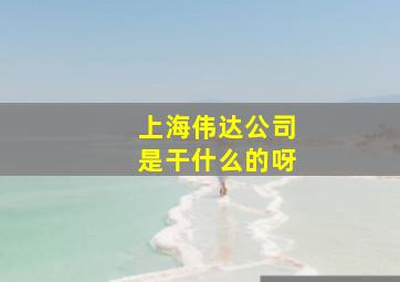 上海伟达公司是干什么的呀