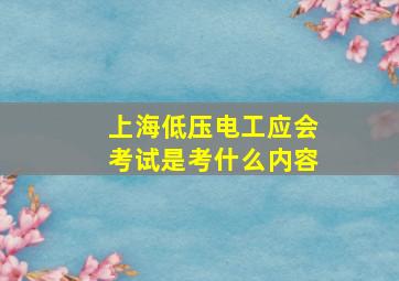 上海低压电工应会考试是考什么内容