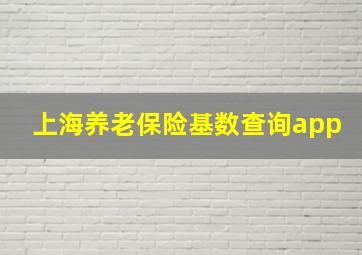 上海养老保险基数查询app