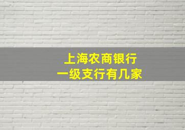 上海农商银行一级支行有几家