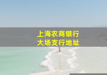 上海农商银行大场支行地址