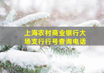 上海农村商业银行大场支行行号查询电话