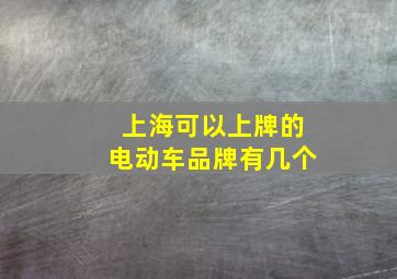 上海可以上牌的电动车品牌有几个