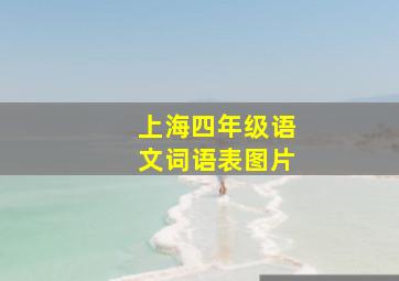 上海四年级语文词语表图片