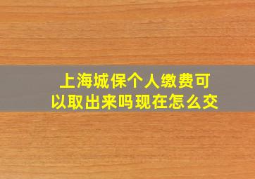 上海城保个人缴费可以取出来吗现在怎么交