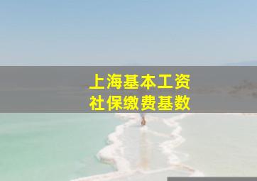 上海基本工资社保缴费基数