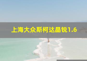 上海大众斯柯达晶锐1.6