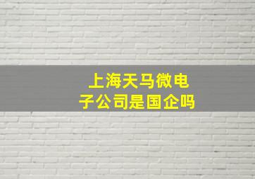 上海天马微电子公司是国企吗