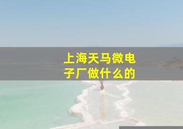 上海天马微电子厂做什么的