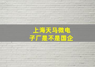 上海天马微电子厂是不是国企