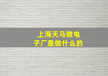 上海天马微电子厂是做什么的