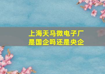 上海天马微电子厂是国企吗还是央企