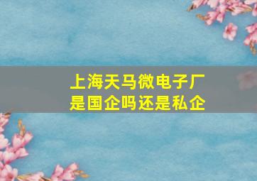 上海天马微电子厂是国企吗还是私企