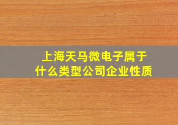 上海天马微电子属于什么类型公司企业性质