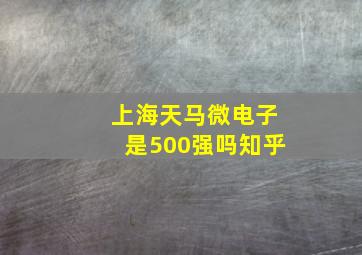 上海天马微电子是500强吗知乎