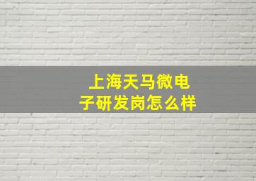 上海天马微电子研发岗怎么样